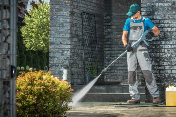 Best Roof Washing  in Bellerose, NY